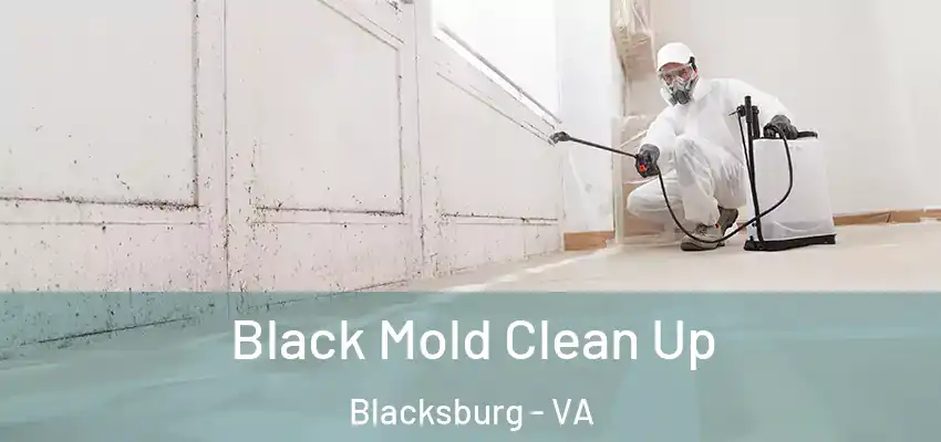 Black Mold Clean Up Blacksburg - VA