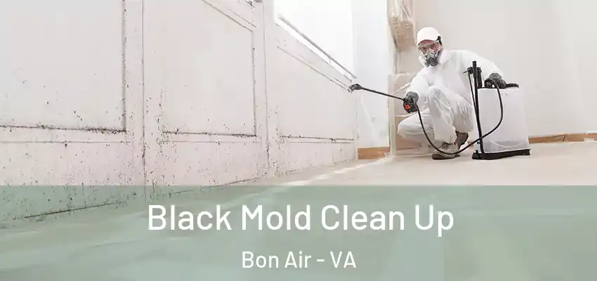  Black Mold Clean Up Bon Air - VA