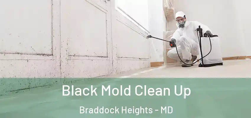 Black Mold Clean Up Braddock Heights - MD