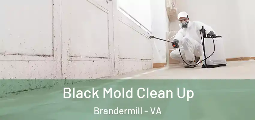 Black Mold Clean Up Brandermill - VA