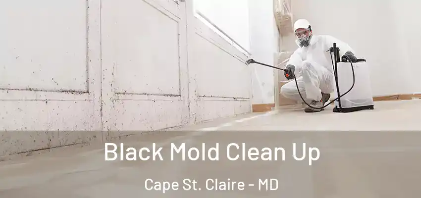Black Mold Clean Up Cape St. Claire - MD