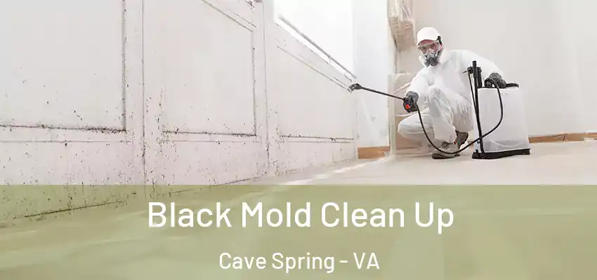 Black Mold Clean Up Cave Spring - VA