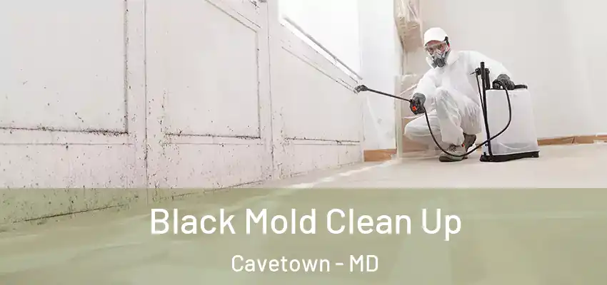  Black Mold Clean Up Cavetown - MD