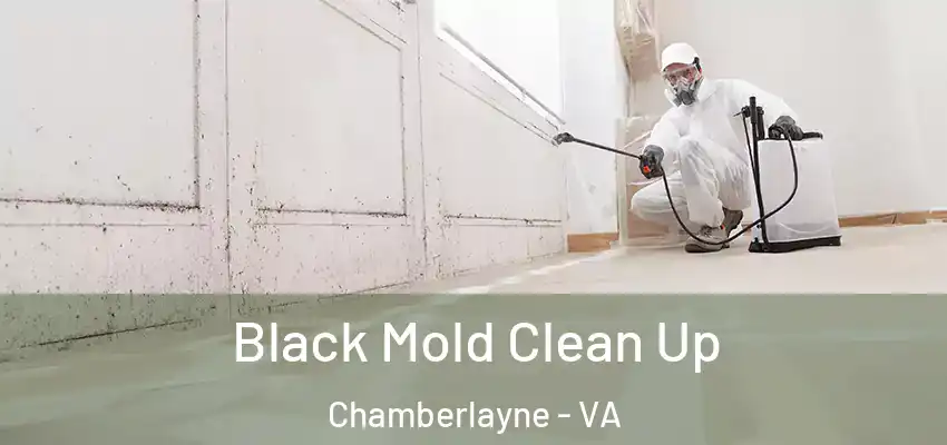 Black Mold Clean Up Chamberlayne - VA