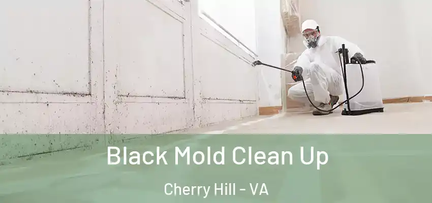 Black Mold Clean Up Cherry Hill - VA