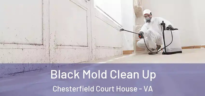 Black Mold Clean Up Chesterfield Court House - VA