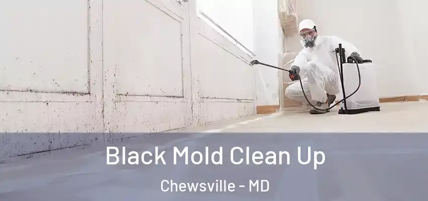 Black Mold Clean Up Chewsville - MD
