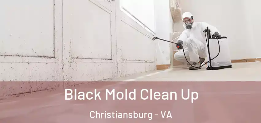 Black Mold Clean Up Christiansburg - VA