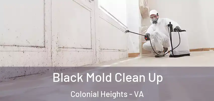 Black Mold Clean Up Colonial Heights - VA