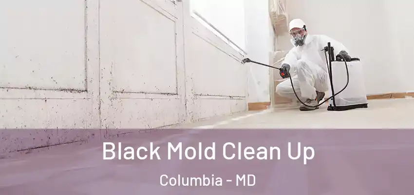  Black Mold Clean Up Columbia - MD