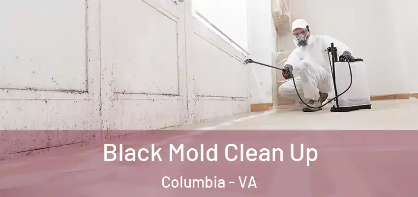 Black Mold Clean Up Columbia - VA