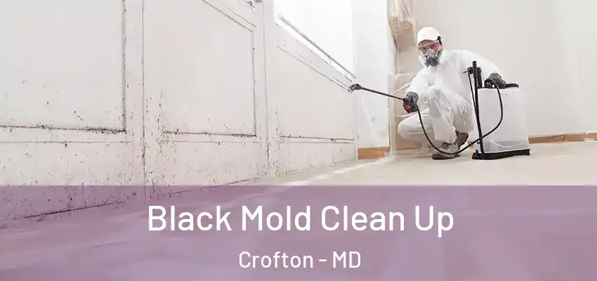 Black Mold Clean Up Crofton - MD
