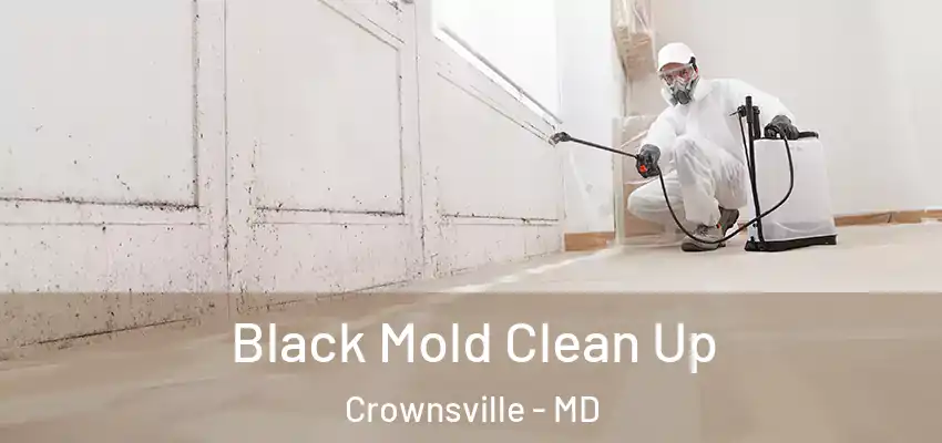  Black Mold Clean Up Crownsville - MD