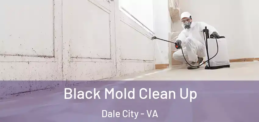 Black Mold Clean Up Dale City - VA