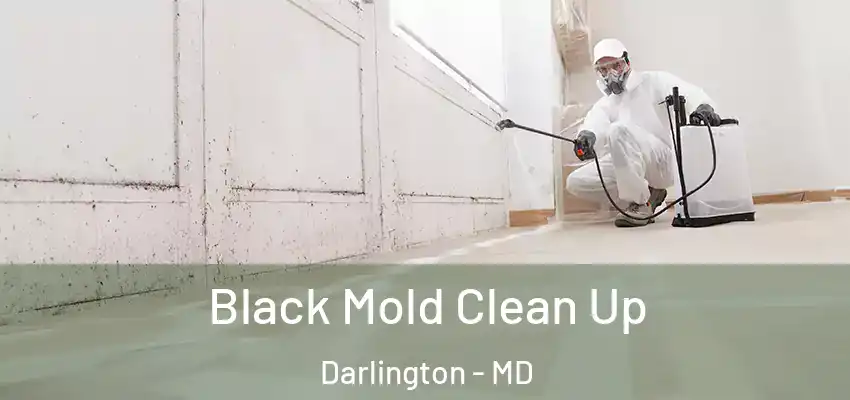 Black Mold Clean Up Darlington - MD