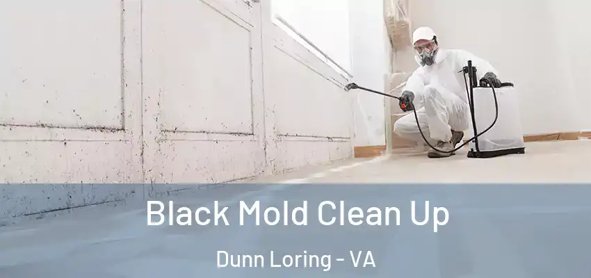 Black Mold Clean Up Dunn Loring - VA
