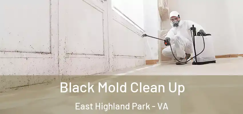 Black Mold Clean Up East Highland Park - VA