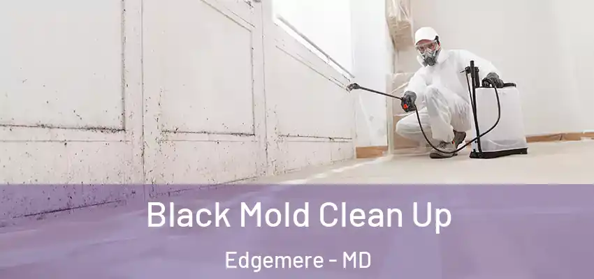 Black Mold Clean Up Edgemere - MD