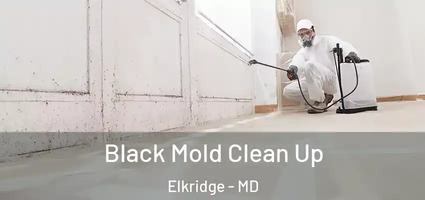 Black Mold Clean Up Elkridge - MD