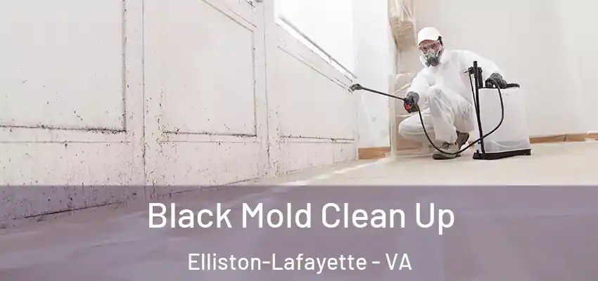  Black Mold Clean Up Elliston-Lafayette - VA