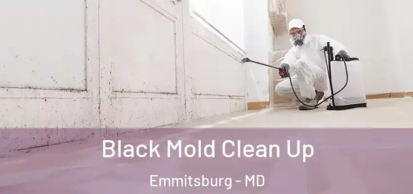 Black Mold Clean Up Emmitsburg - MD