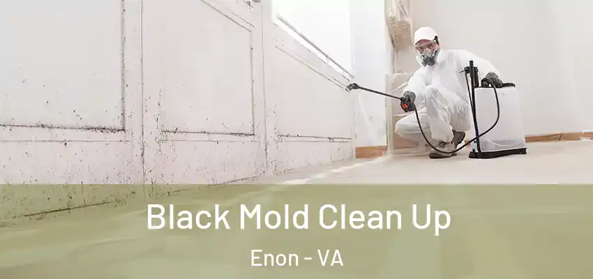 Black Mold Clean Up Enon - VA