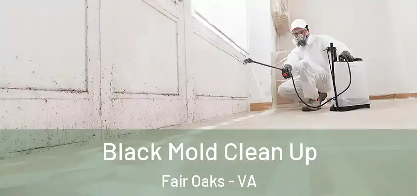 Black Mold Clean Up Fair Oaks - VA
