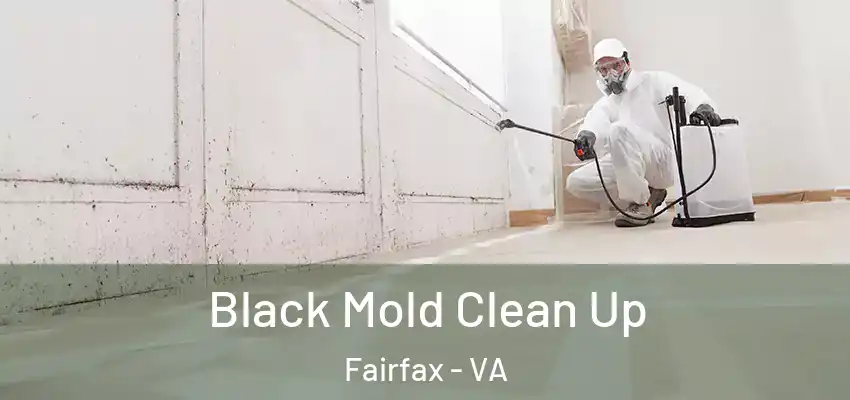  Black Mold Clean Up Fairfax - VA