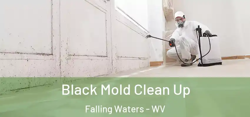 Black Mold Clean Up Falling Waters - WV