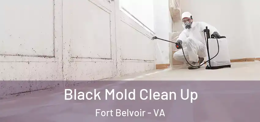 Black Mold Clean Up Fort Belvoir - VA