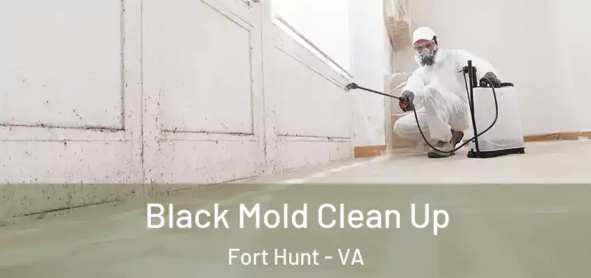  Black Mold Clean Up Fort Hunt - VA