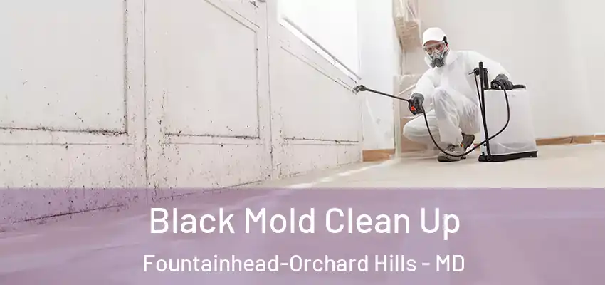  Black Mold Clean Up Fountainhead-Orchard Hills - MD