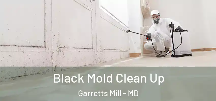 Black Mold Clean Up Garretts Mill - MD