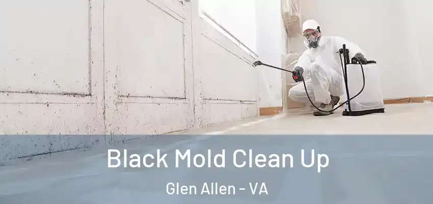 Black Mold Clean Up Glen Allen - VA