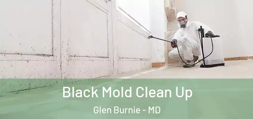  Black Mold Clean Up Glen Burnie - MD