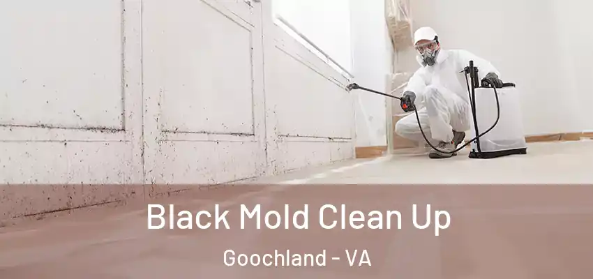  Black Mold Clean Up Goochland - VA