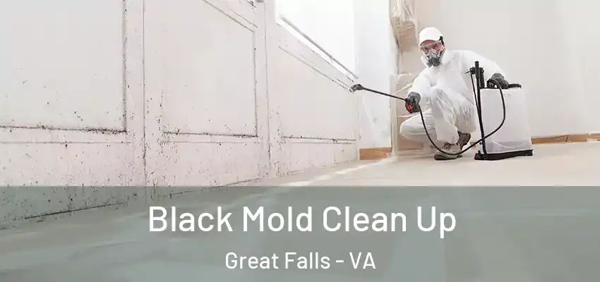  Black Mold Clean Up Great Falls - VA