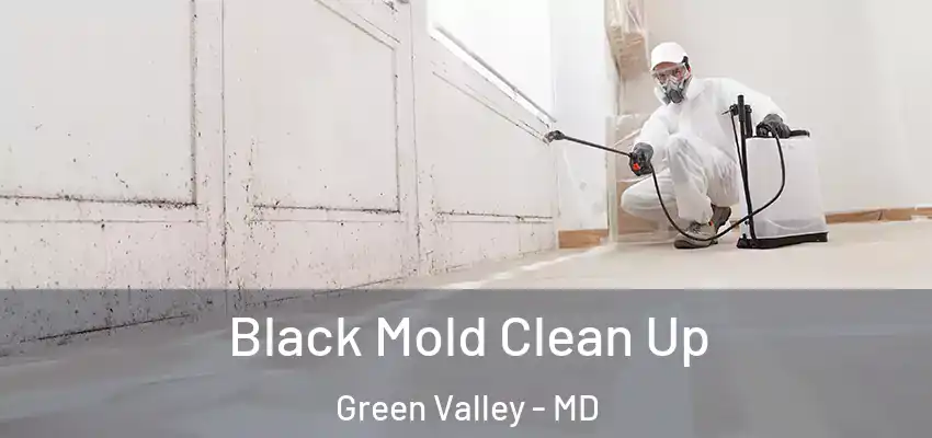 Black Mold Clean Up Green Valley - MD