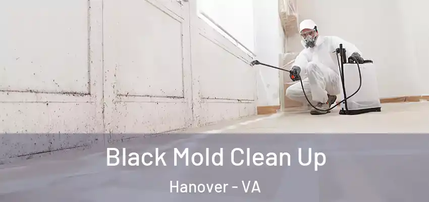 Black Mold Clean Up Hanover - VA