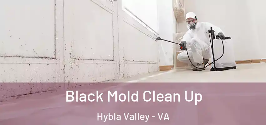 Black Mold Clean Up Hybla Valley - VA