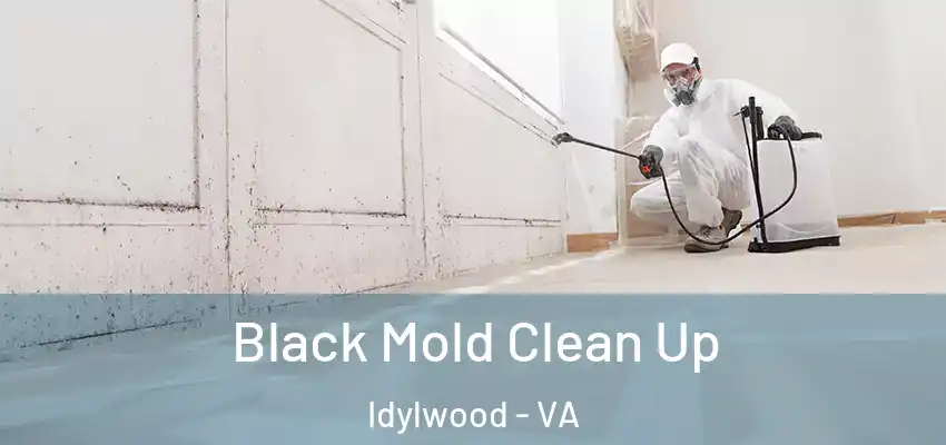 Black Mold Clean Up Idylwood - VA