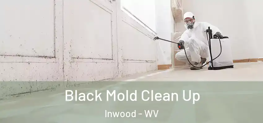 Black Mold Clean Up Inwood - WV