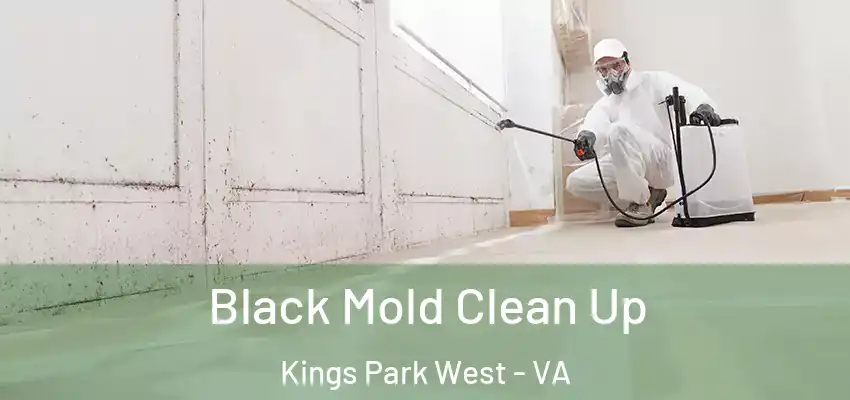 Black Mold Clean Up Kings Park West - VA