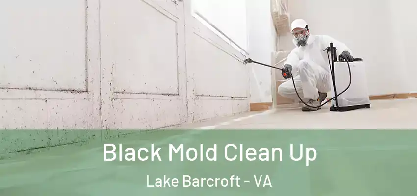 Black Mold Clean Up Lake Barcroft - VA