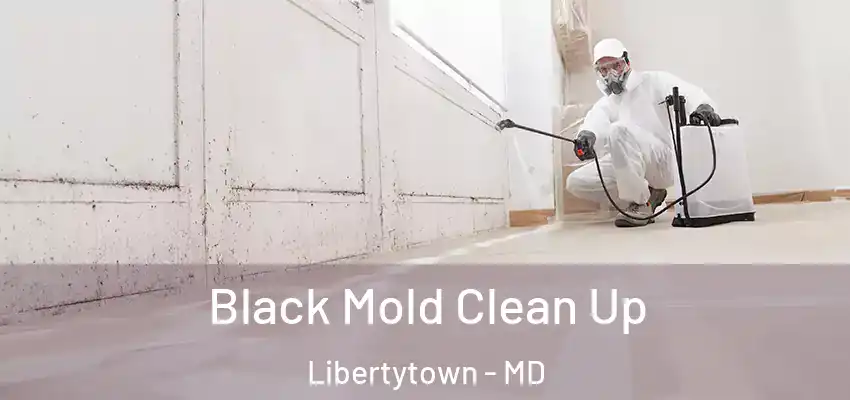 Black Mold Clean Up Libertytown - MD