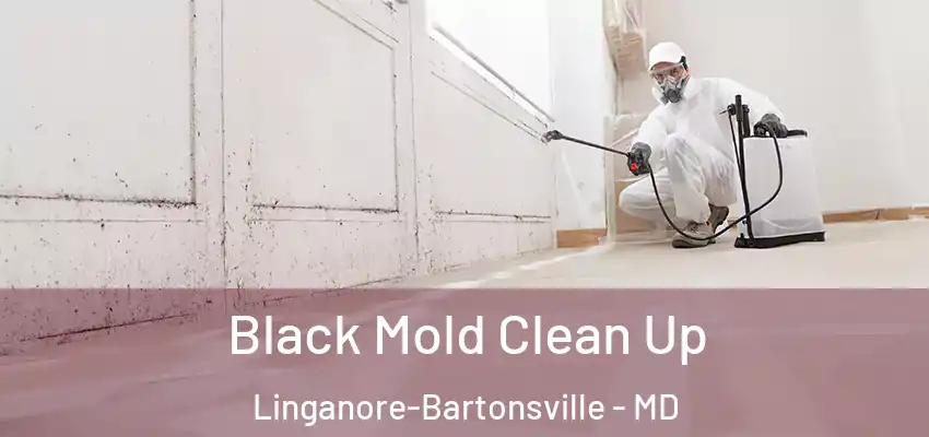  Black Mold Clean Up Linganore-Bartonsville - MD