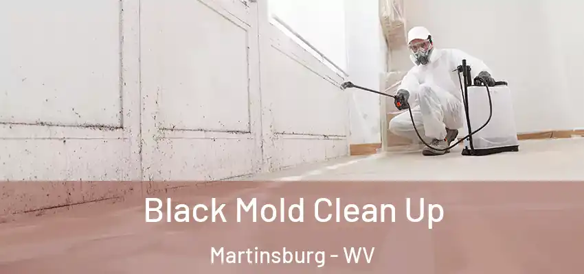 Black Mold Clean Up Martinsburg - WV