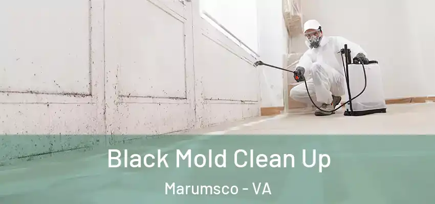  Black Mold Clean Up Marumsco - VA