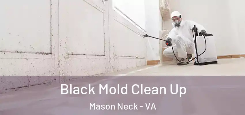  Black Mold Clean Up Mason Neck - VA