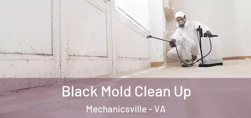  Black Mold Clean Up Mechanicsville - VA